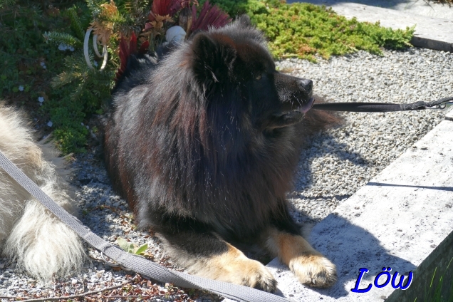 20.4.2025 - Grabesruh